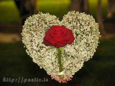 تا عمق وجودت رخنه کردم تا باور کنی با تمام وجودم دوست دارم #طیبه_عبداللهی